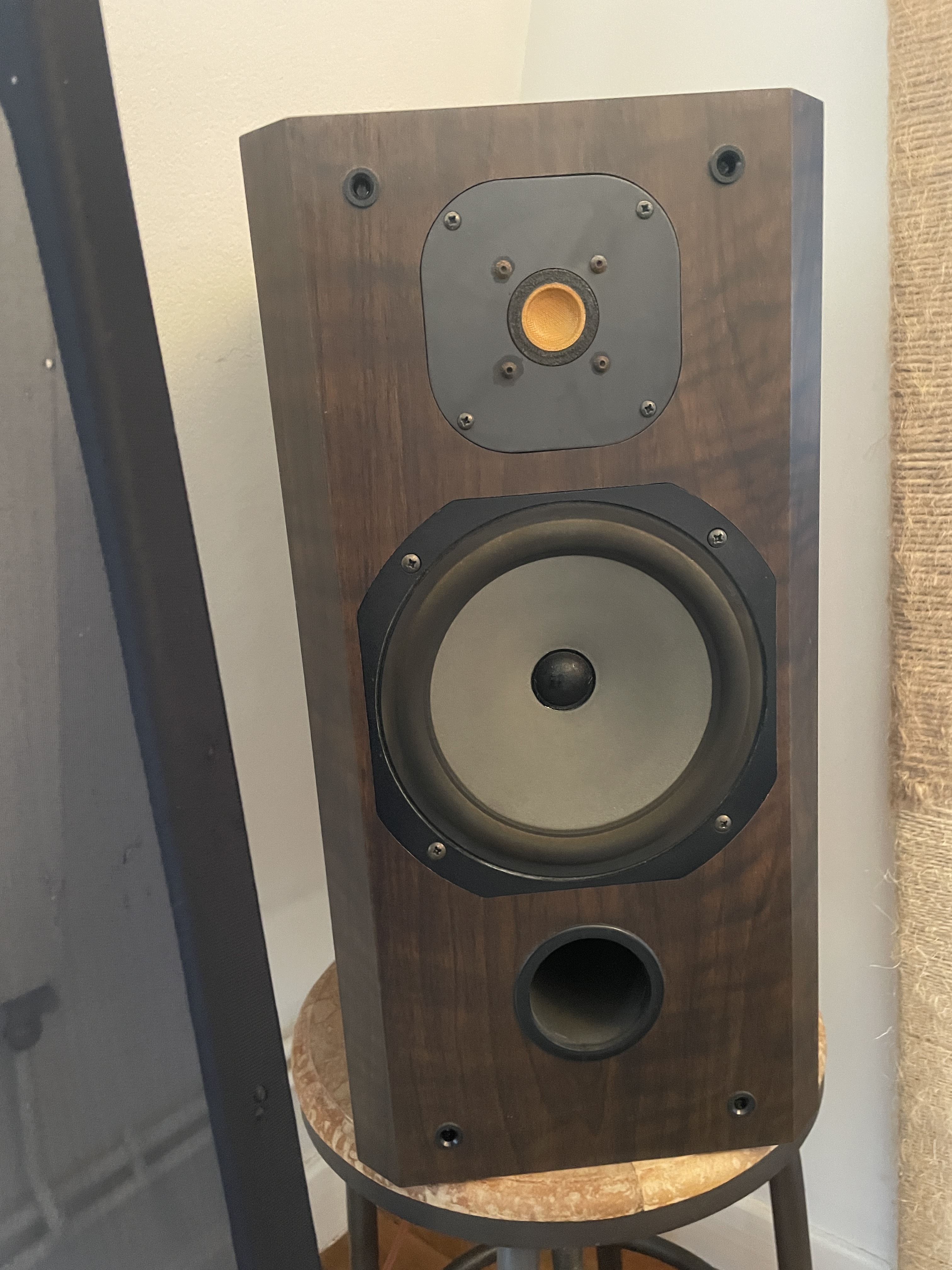JMlab Opal 19