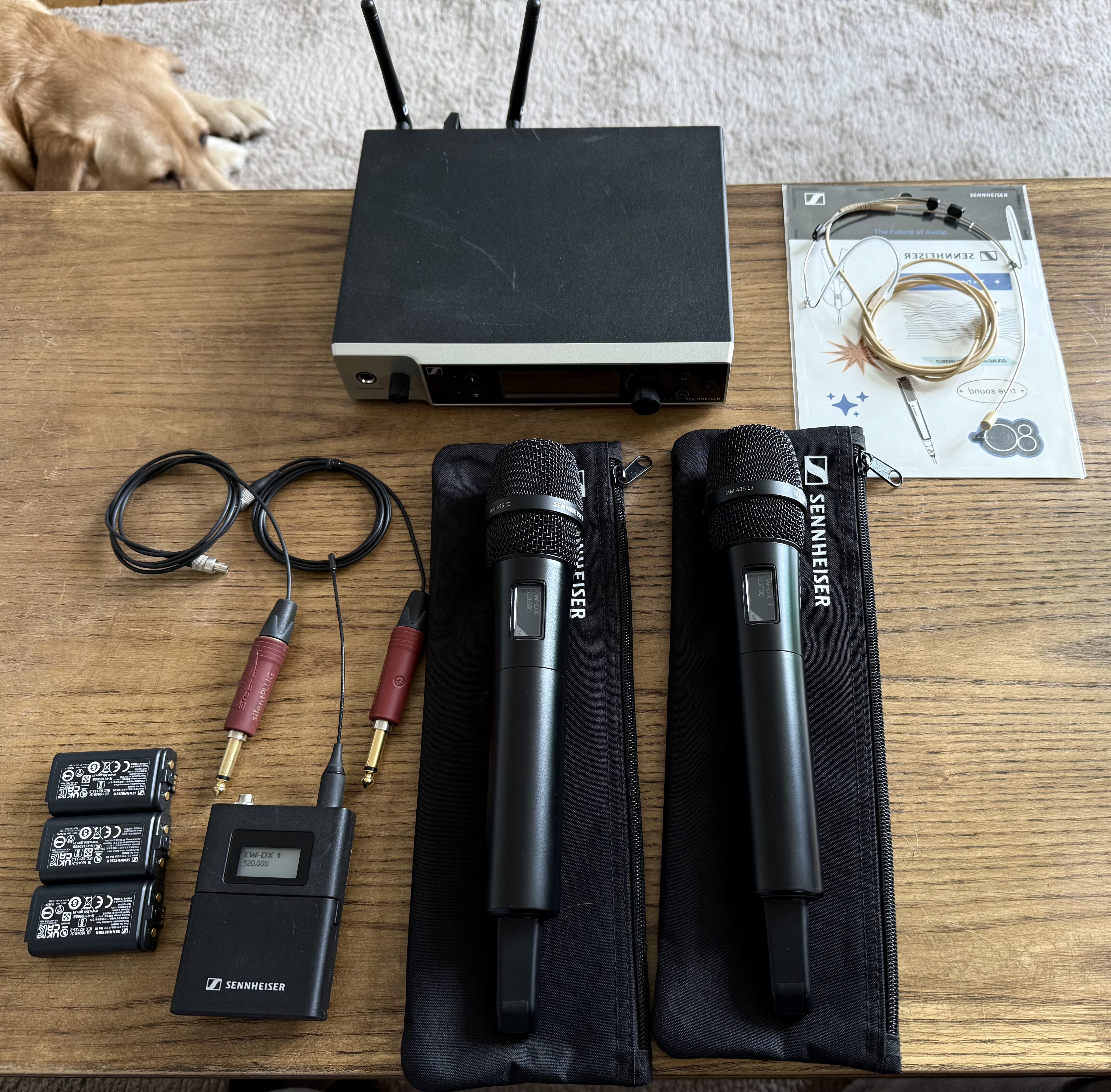 Lot Sennheiser EW DX R1-9