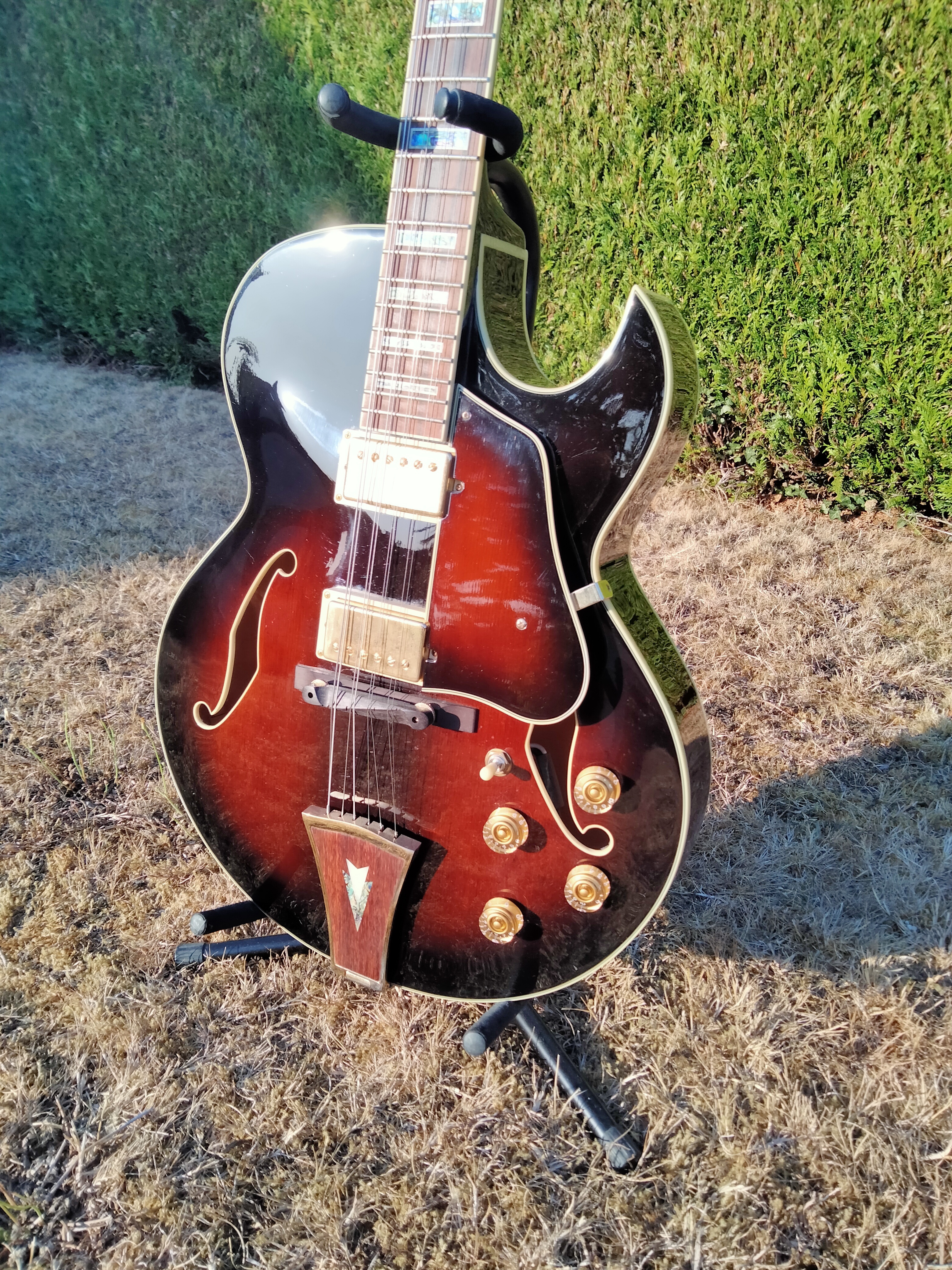 Ibanez AK95 (59072)