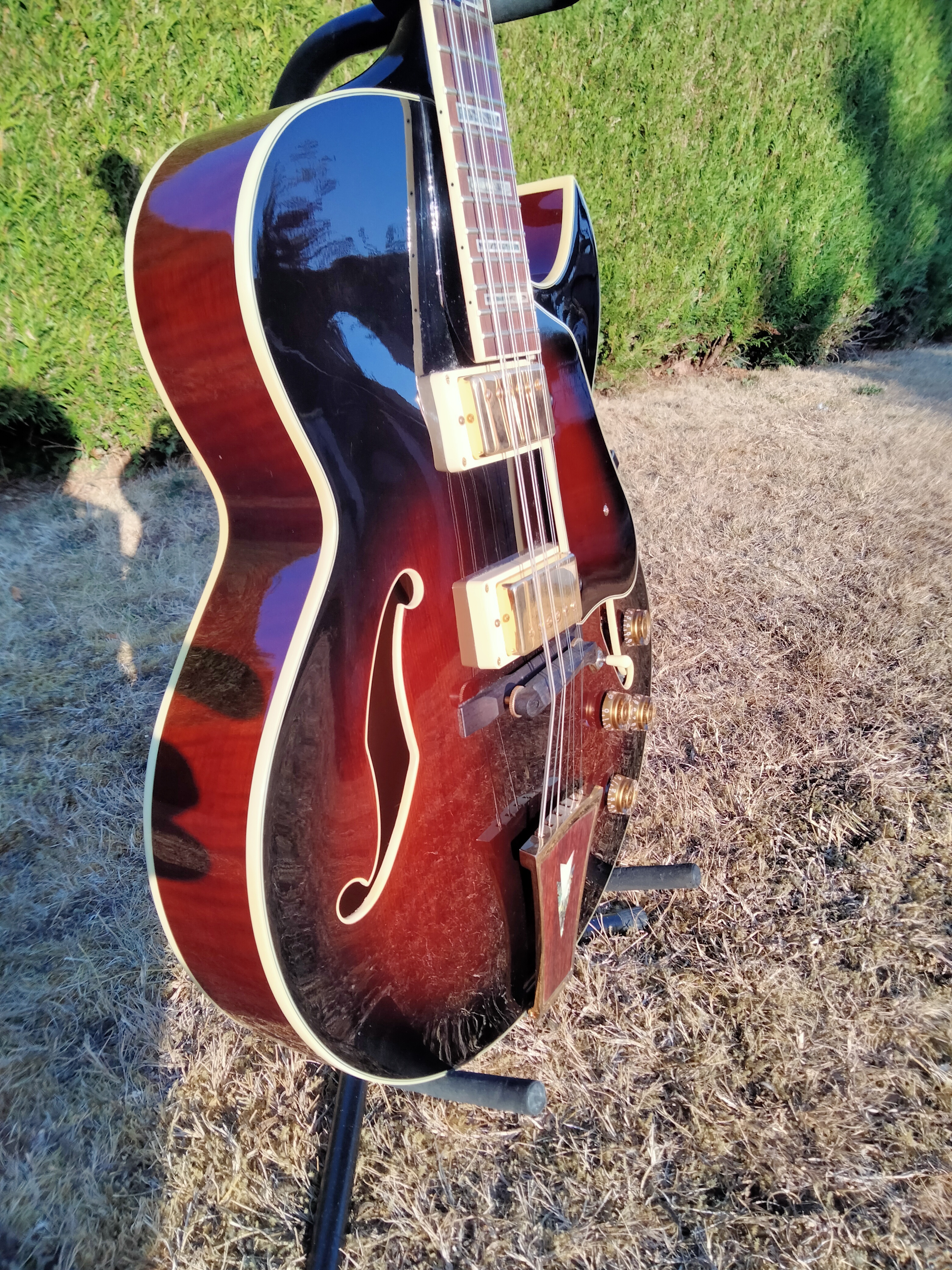 Ibanez AK95 (54240)