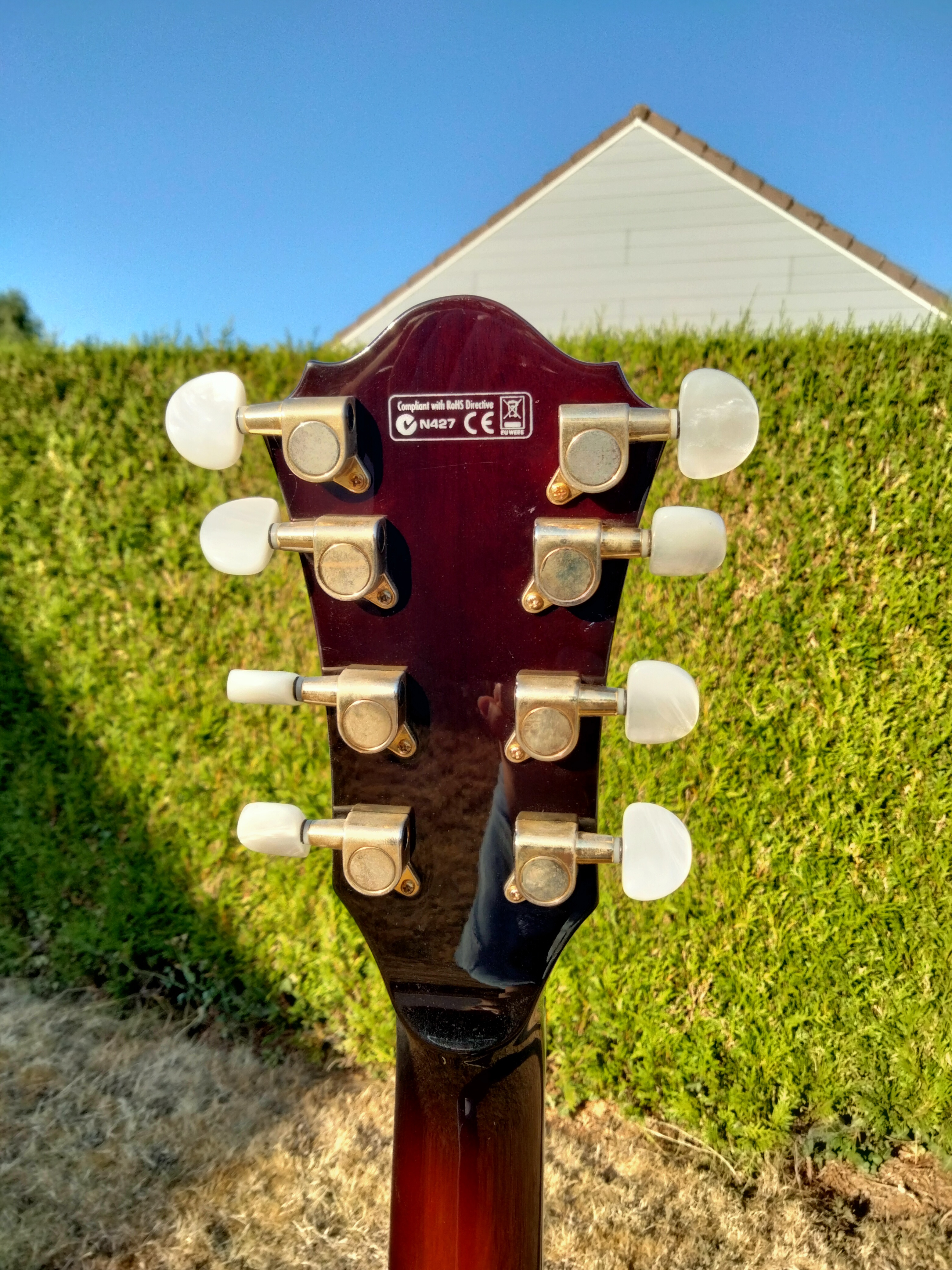 Ibanez AK95 (14456)