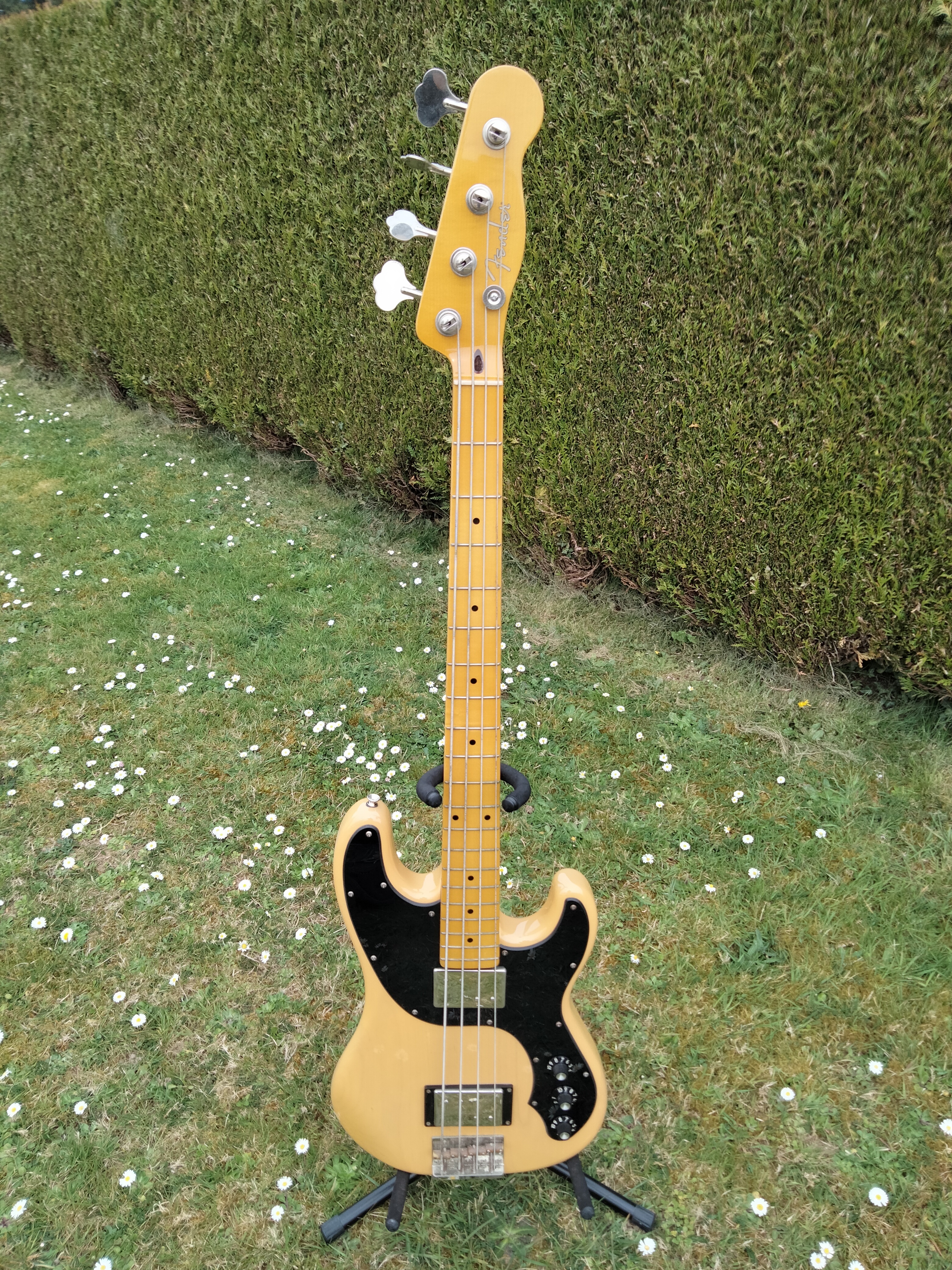 Basse telecaster