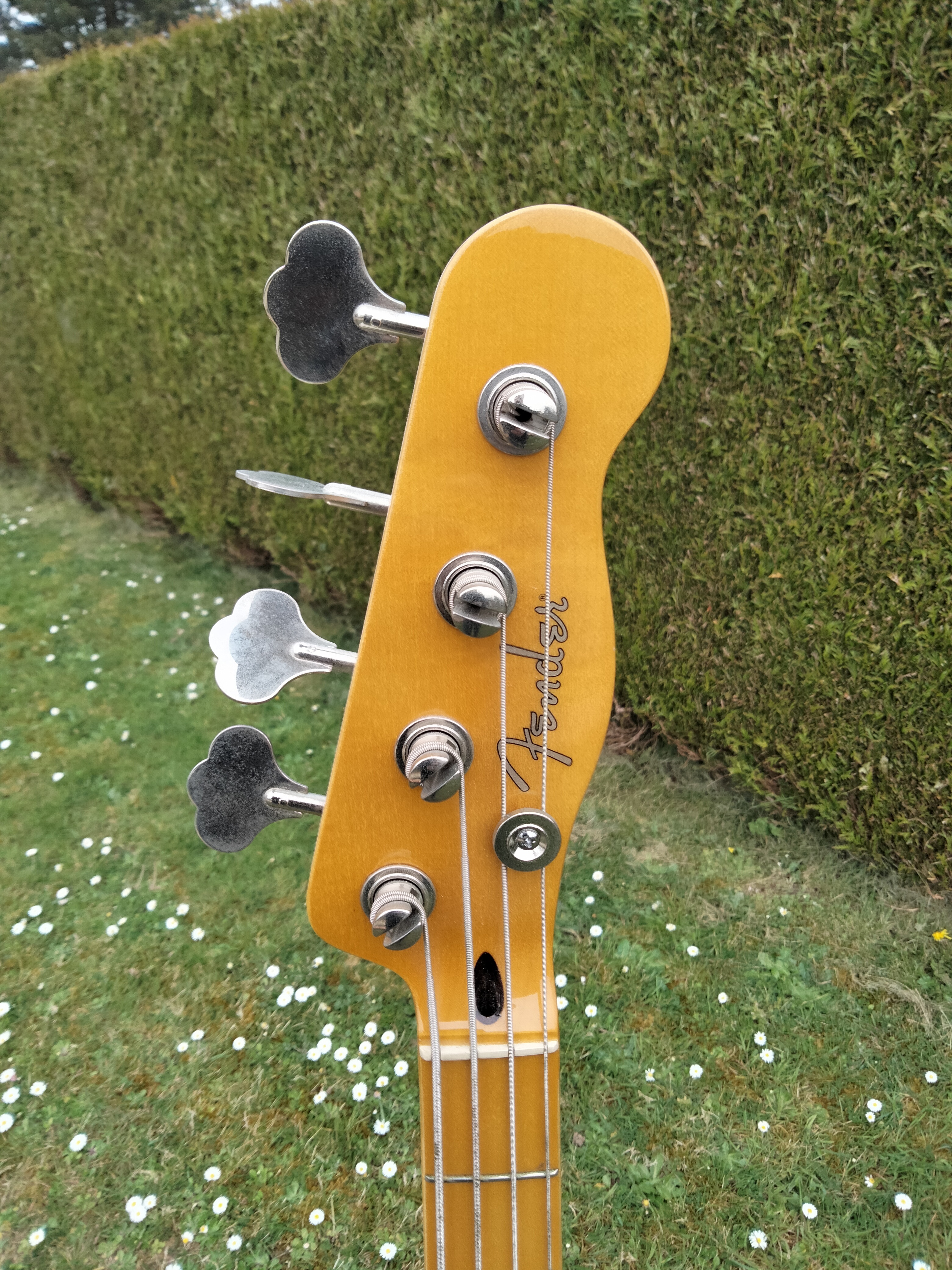 Fender Modern Player Telecaster Bass (96023)