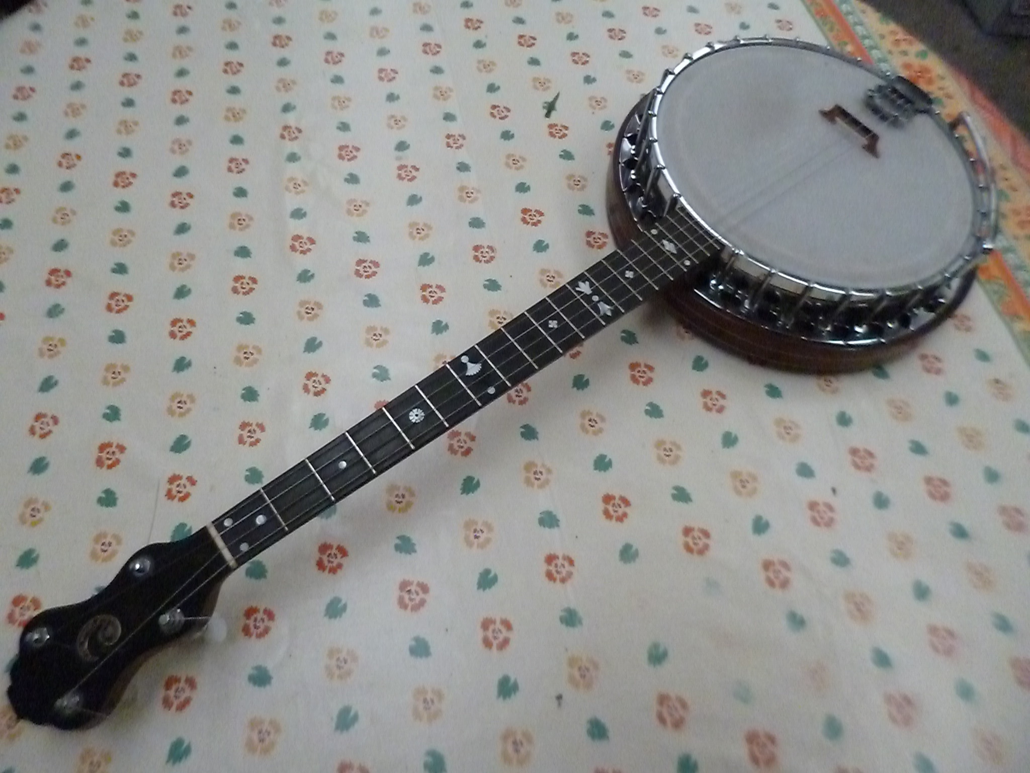 Banjo Tenor 19 fretes