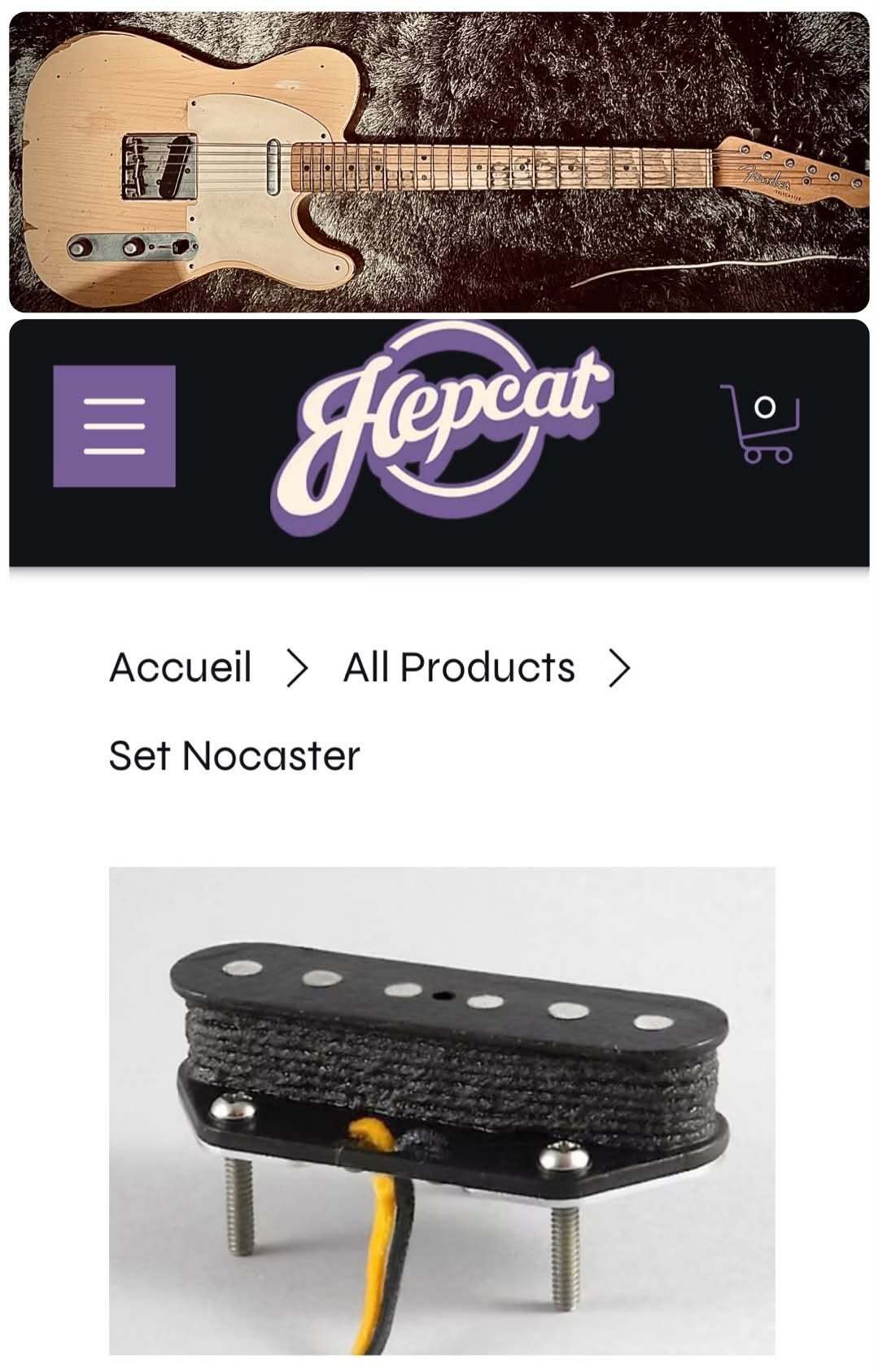 Vends Set de micro Hepcat Pickup Nocaster