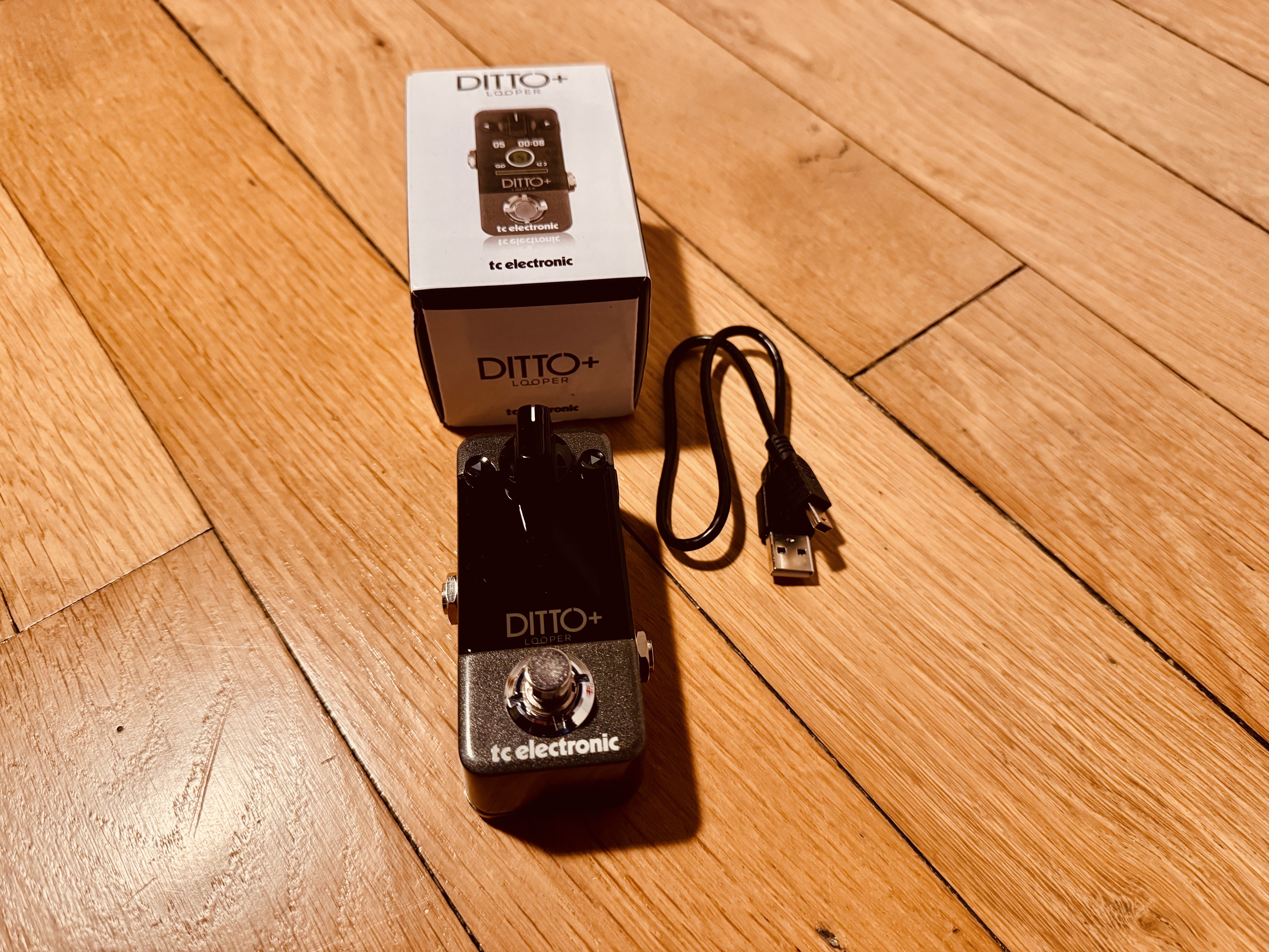 TC Electronic Ditto+ – Looper guitare – État impeccable – Nancy
