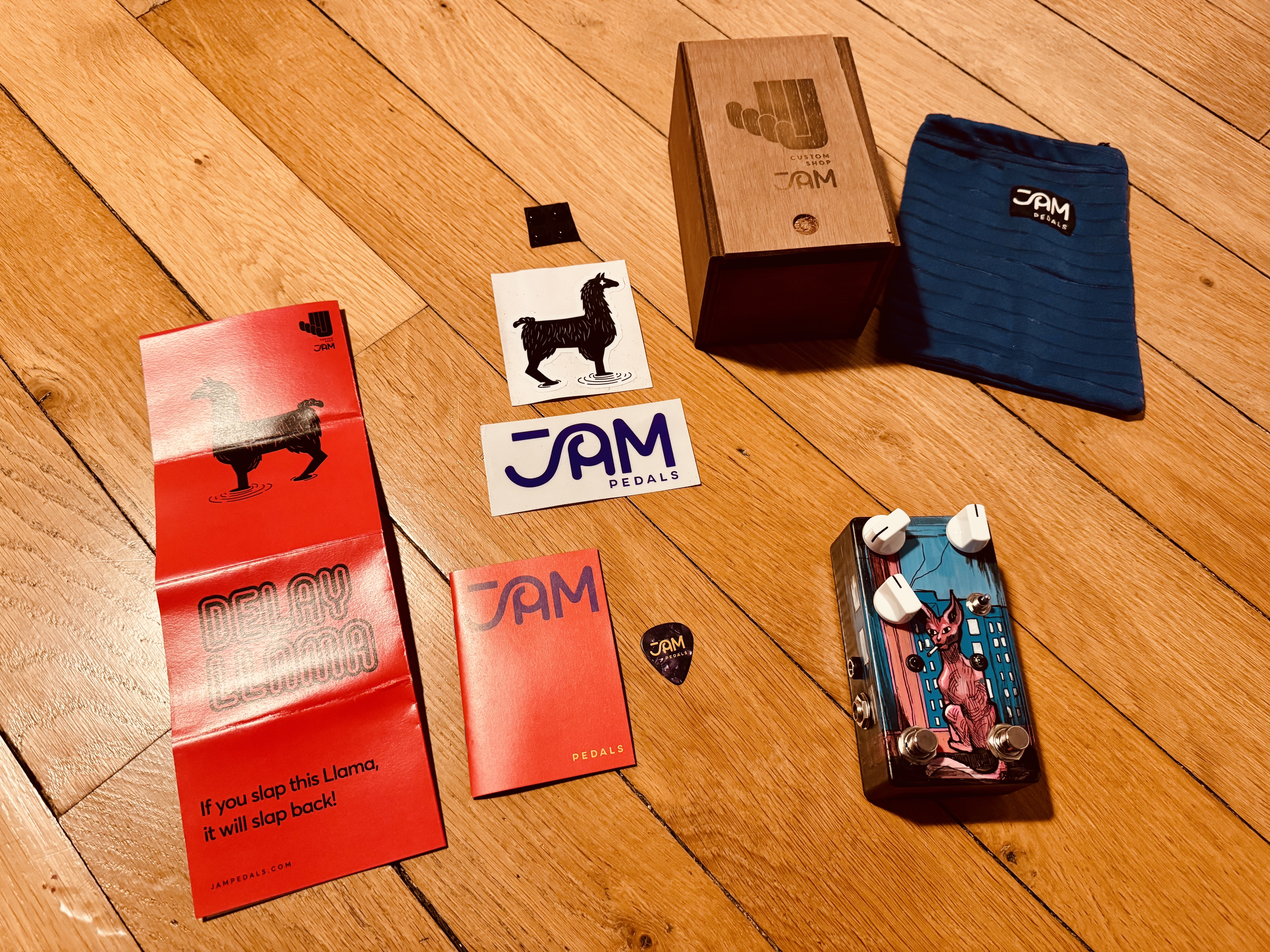 JAM Pedals Delay Llama mk.3 Custom Shop – Artwork Charie – État impeccable – Nancy - 2550