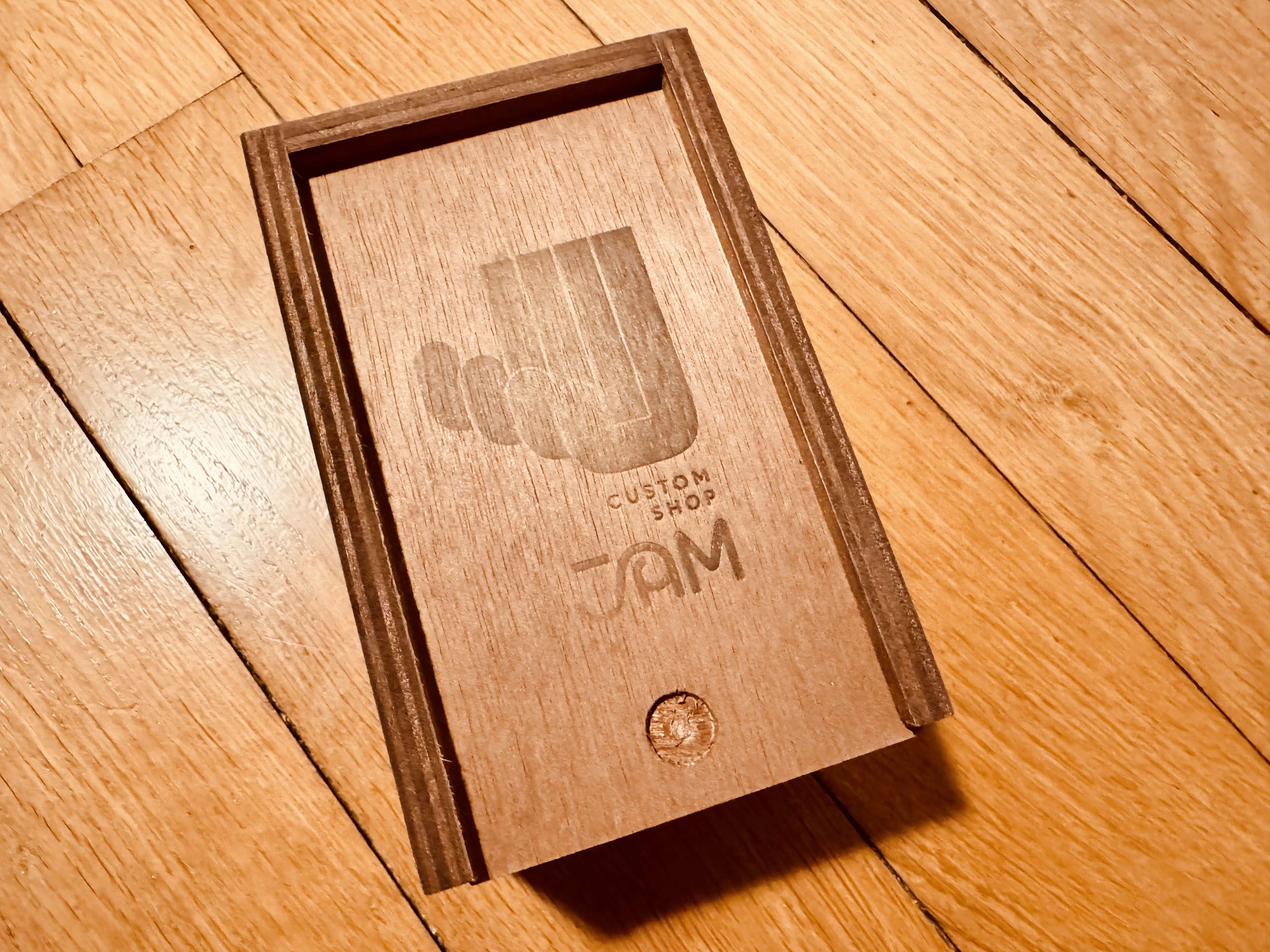 JAM Pedals Delay Llama mk.3 Custom Shop – Artwork Charie – État impeccable – Nancy - 2549