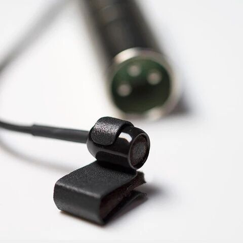 mandolin mic.jpg