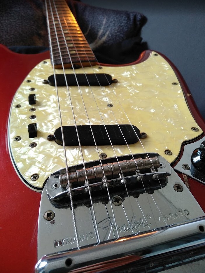mustang5