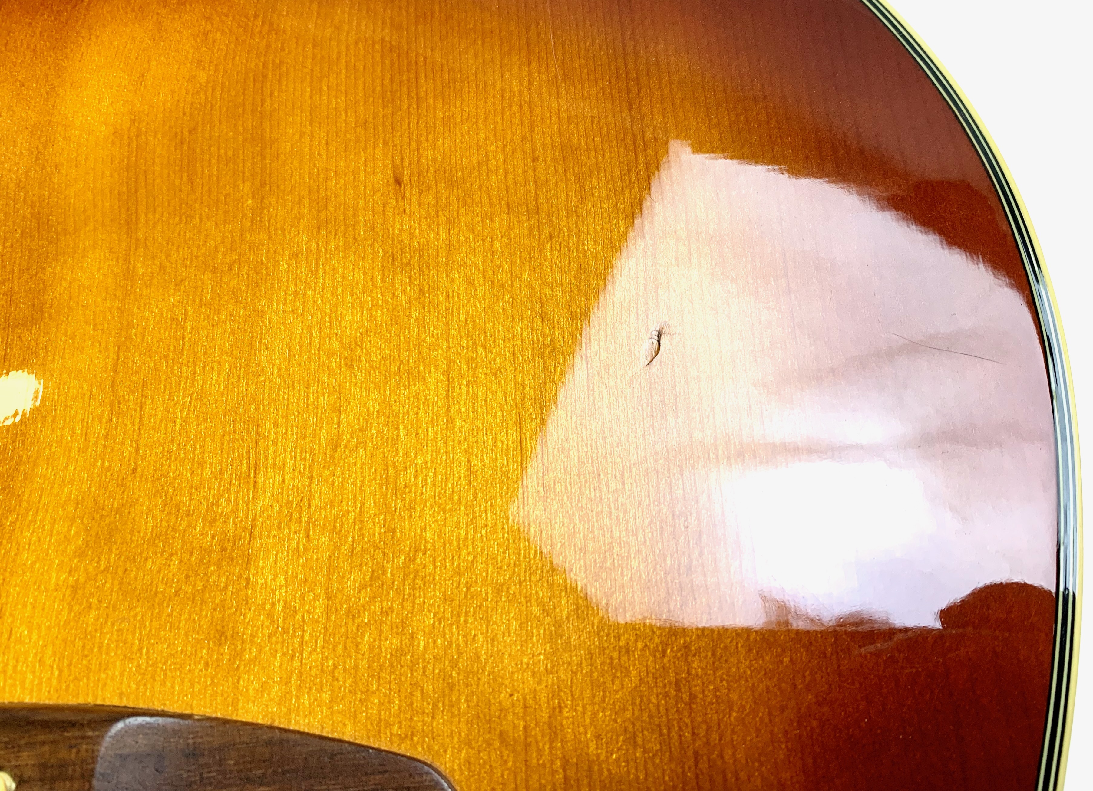 Fender Malibu (1965-1971) (80601)