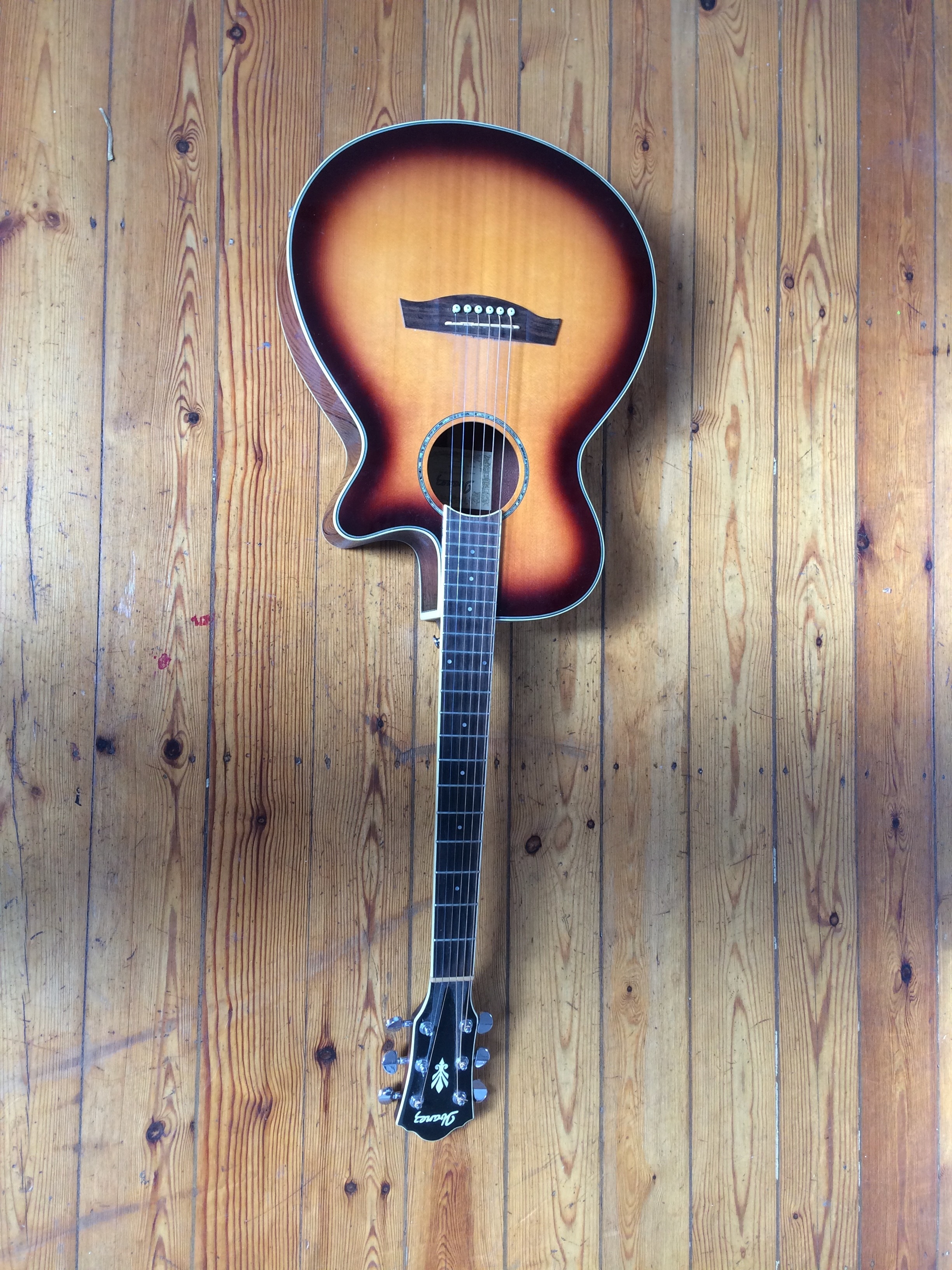 Ibanez AEG10II VS