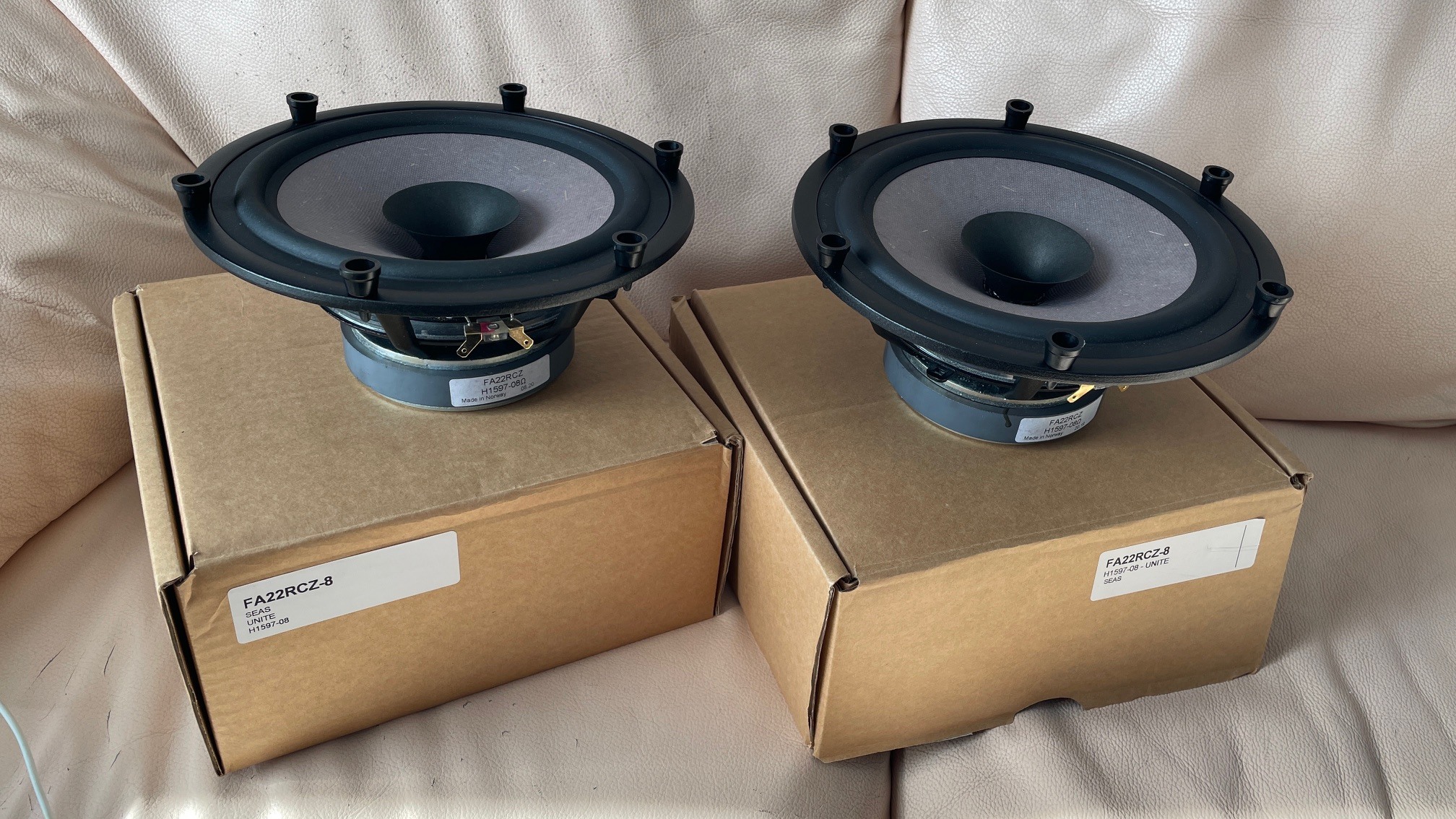 Vends une paire de SEAS FA22RCZ-8