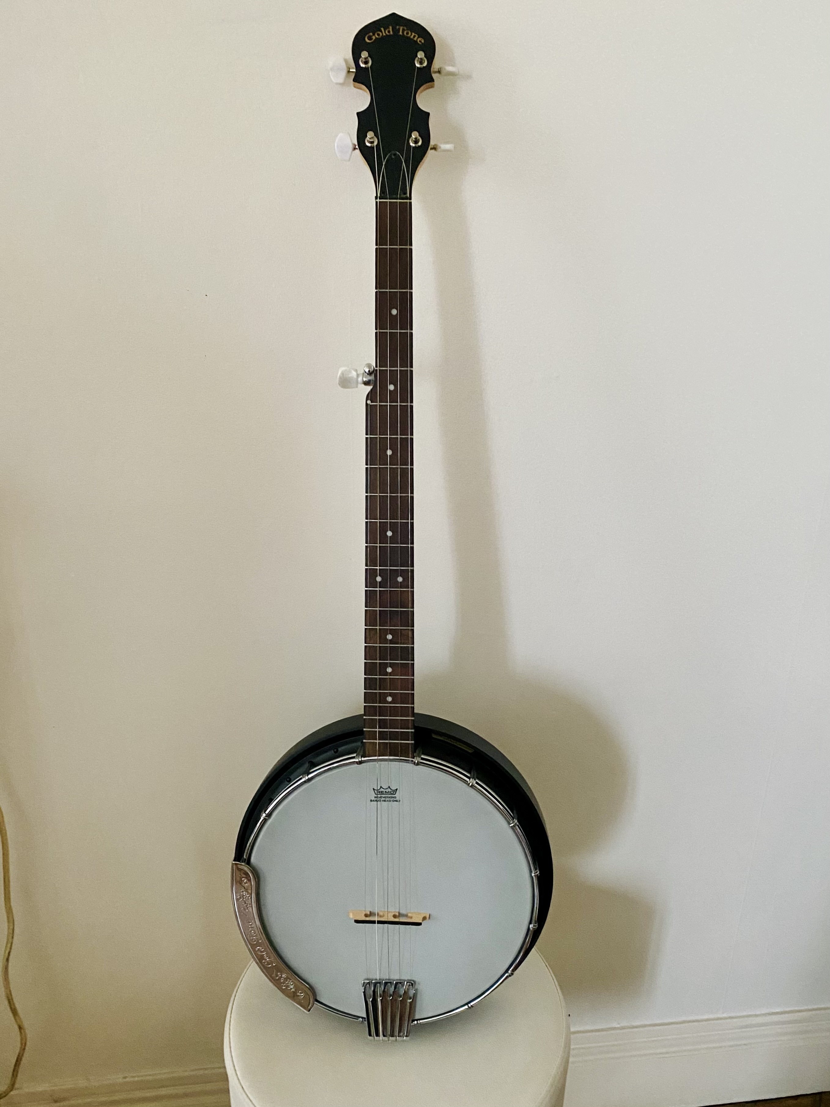 BANJO 5 CORDES GOLD TONE AC-5