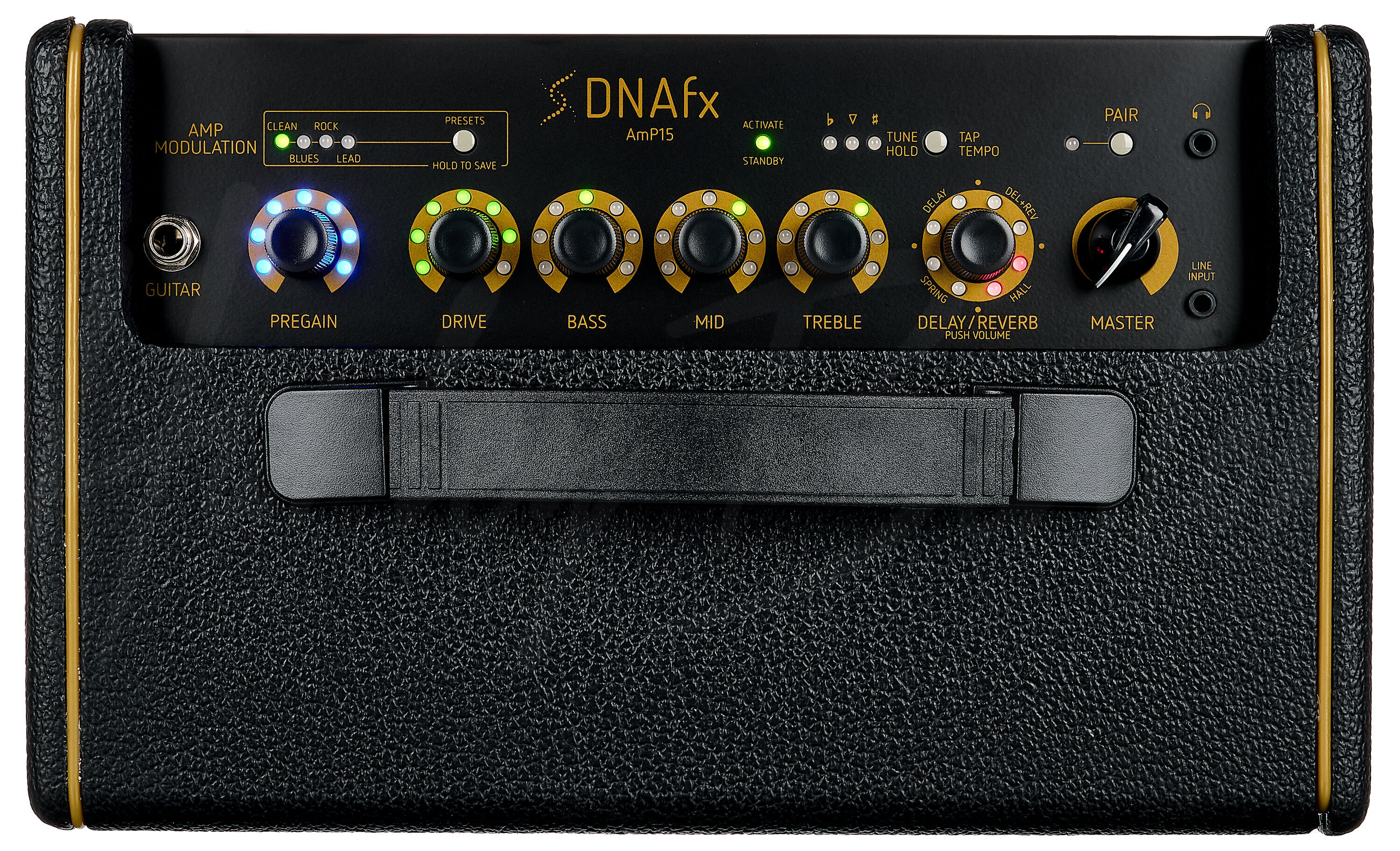 DNAFx AmP15Panel