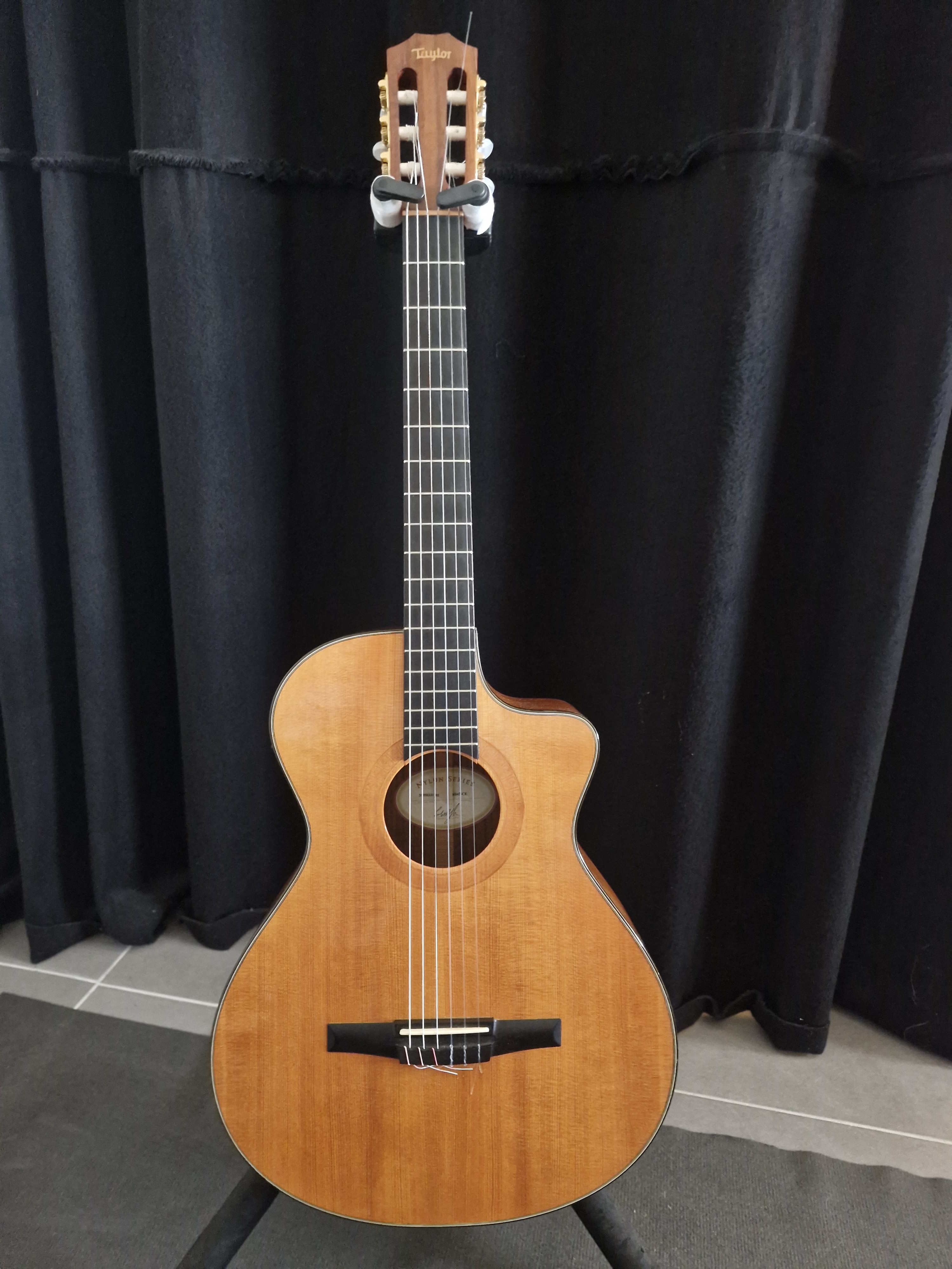 Taylor NS42ce Nylon