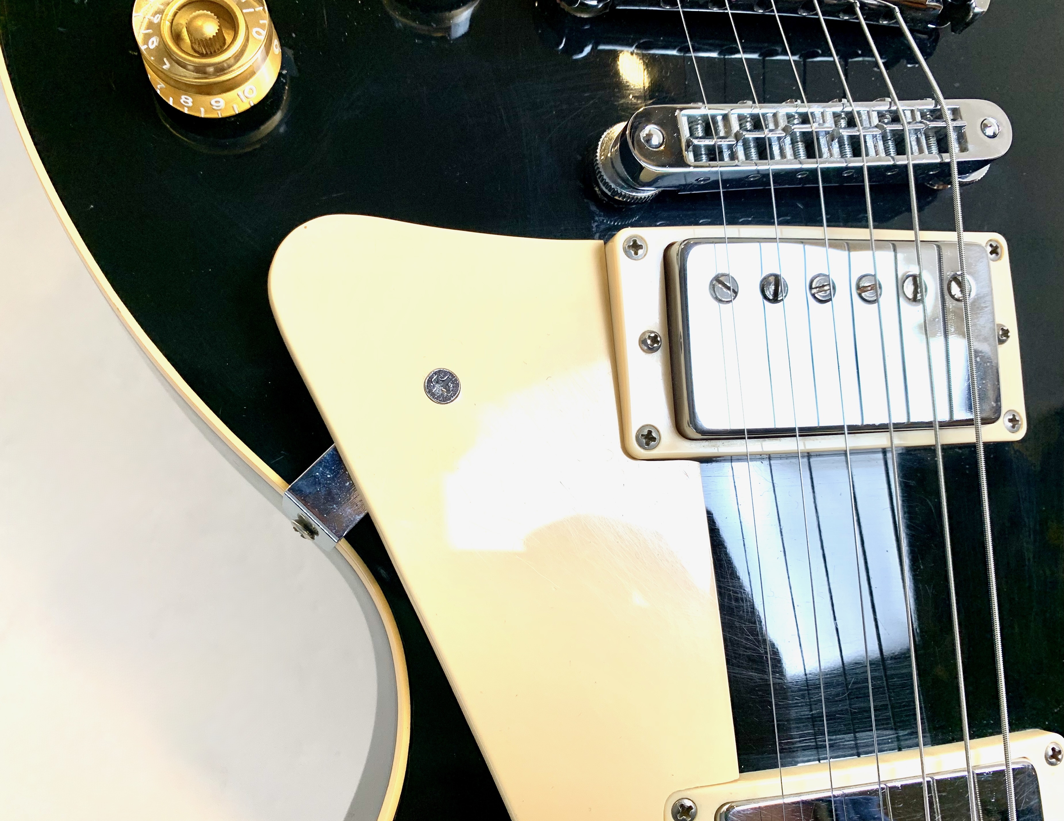 Gibson Les Paul Standard (61379)