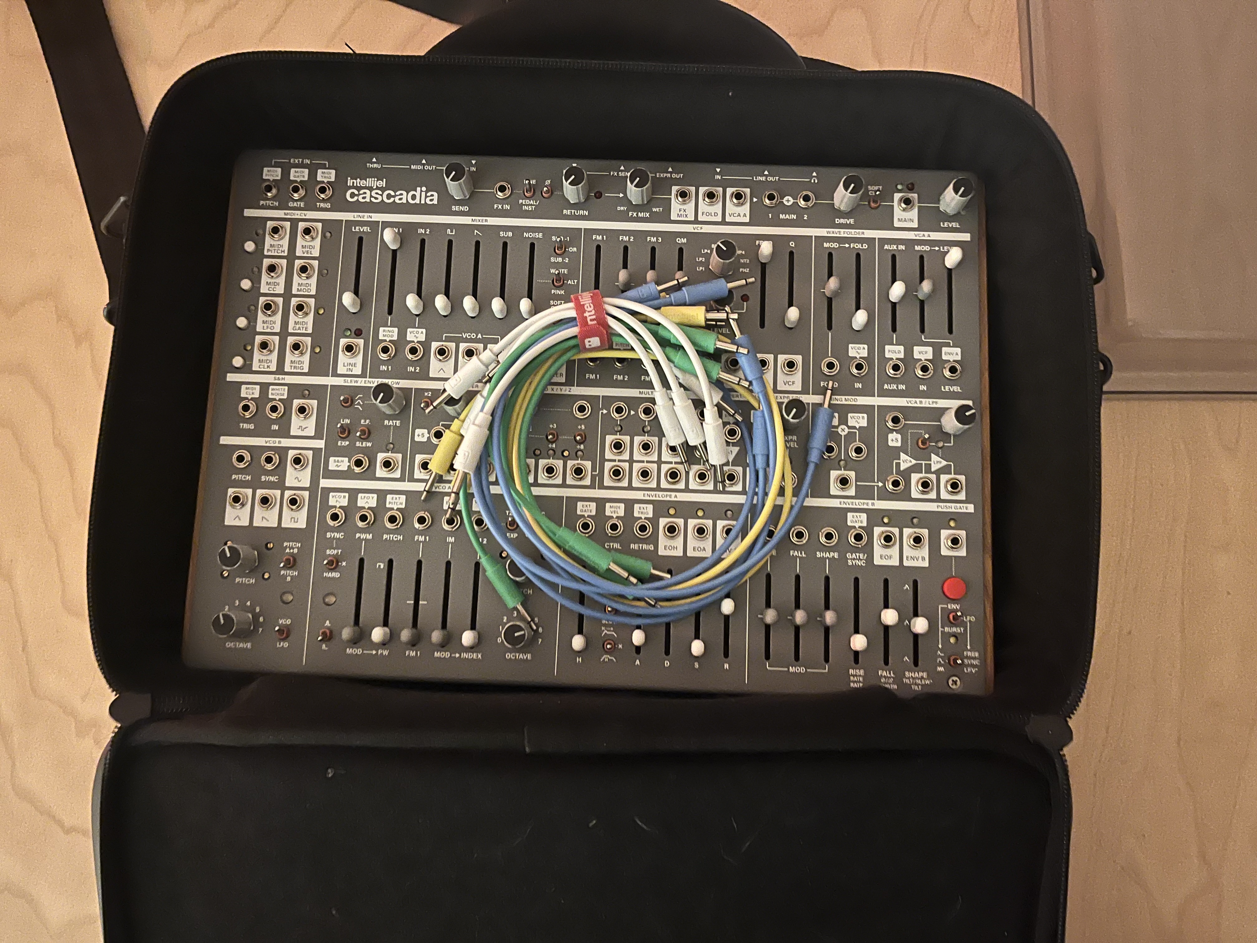 Vends Intellijel Cascadia + decksaver + valise de transport Intellijel + cables de patch