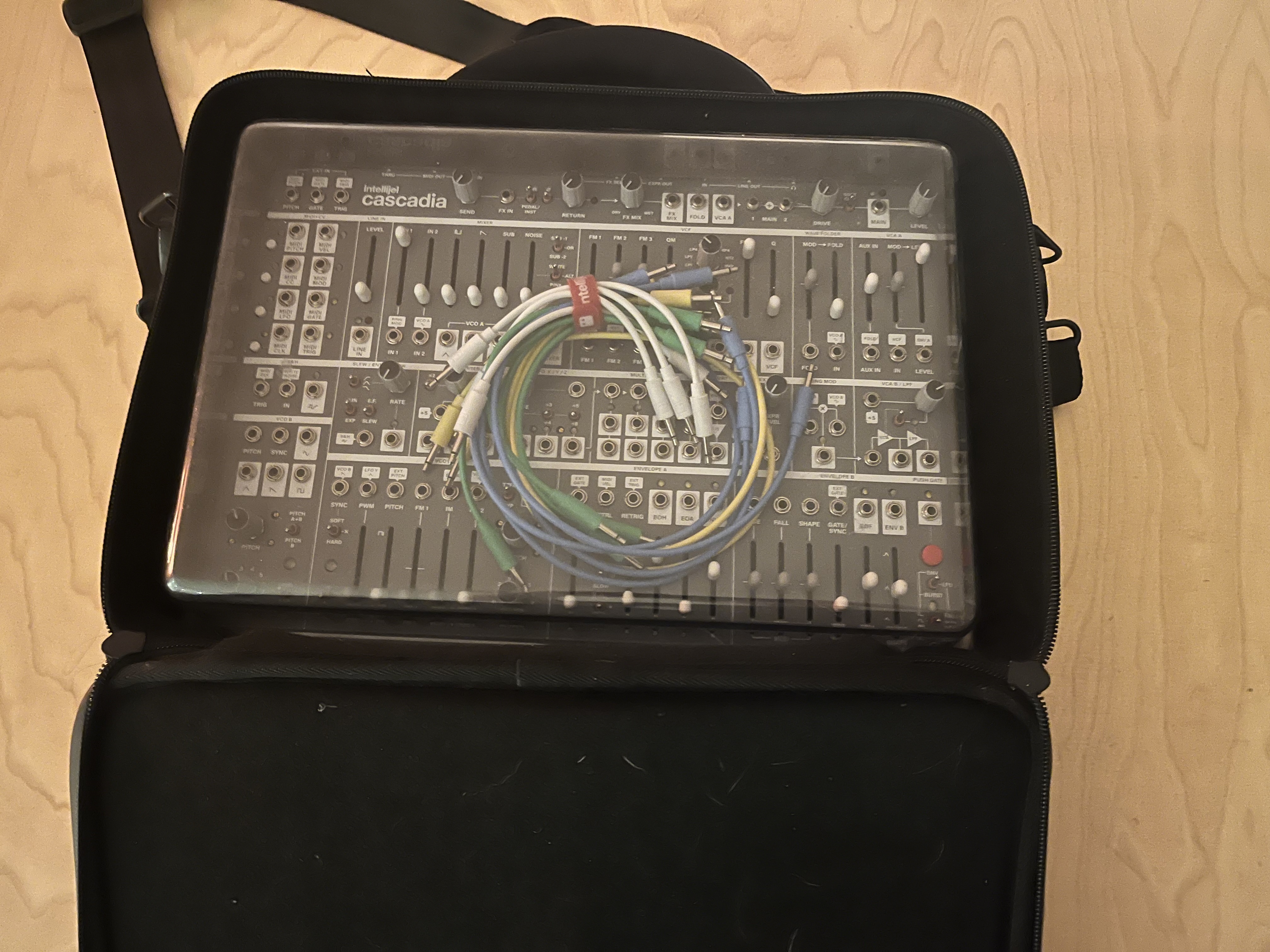 Intellijel Designs Cascadia (26268)