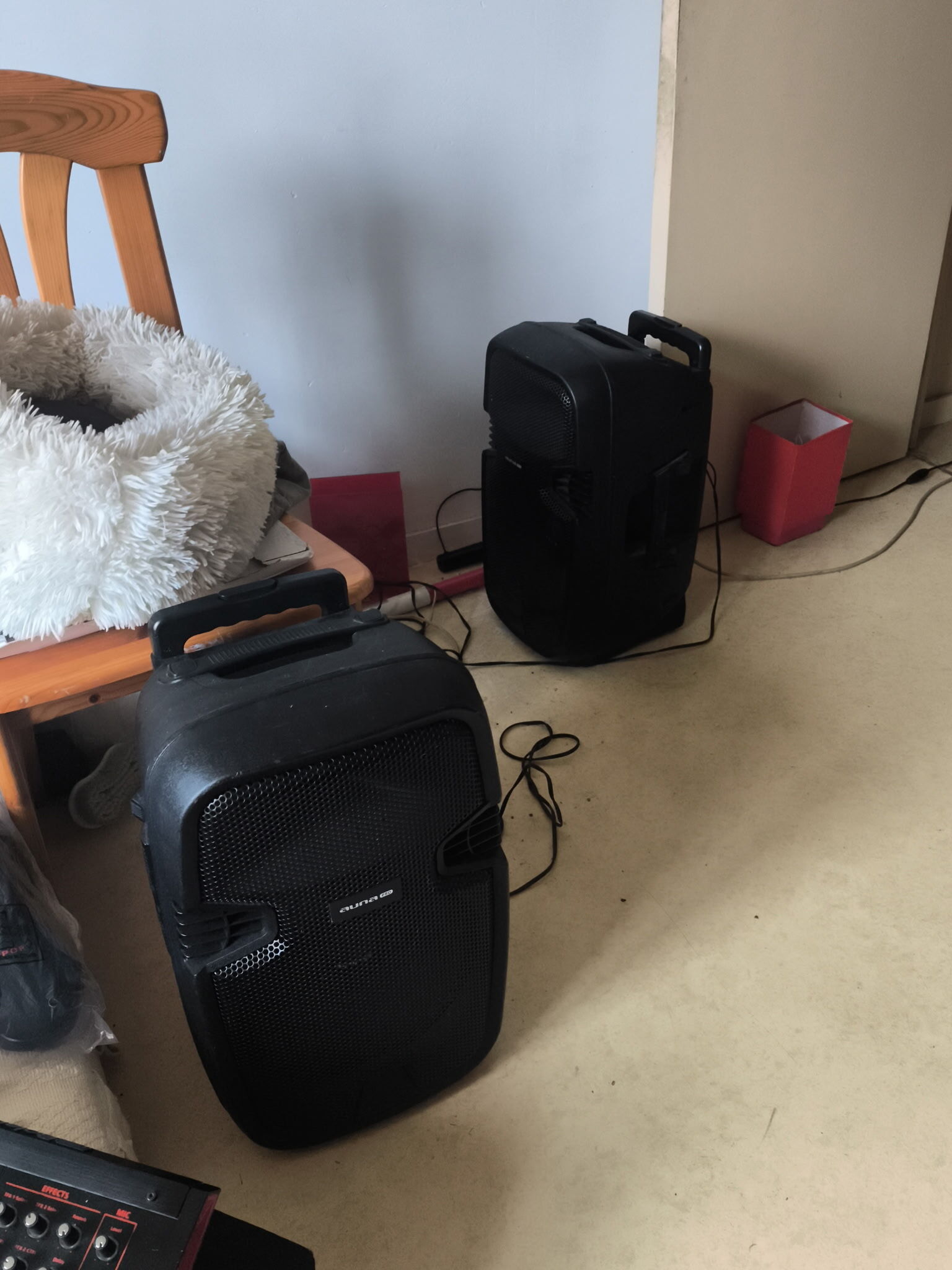Enceinte de sono amplifiée portable 