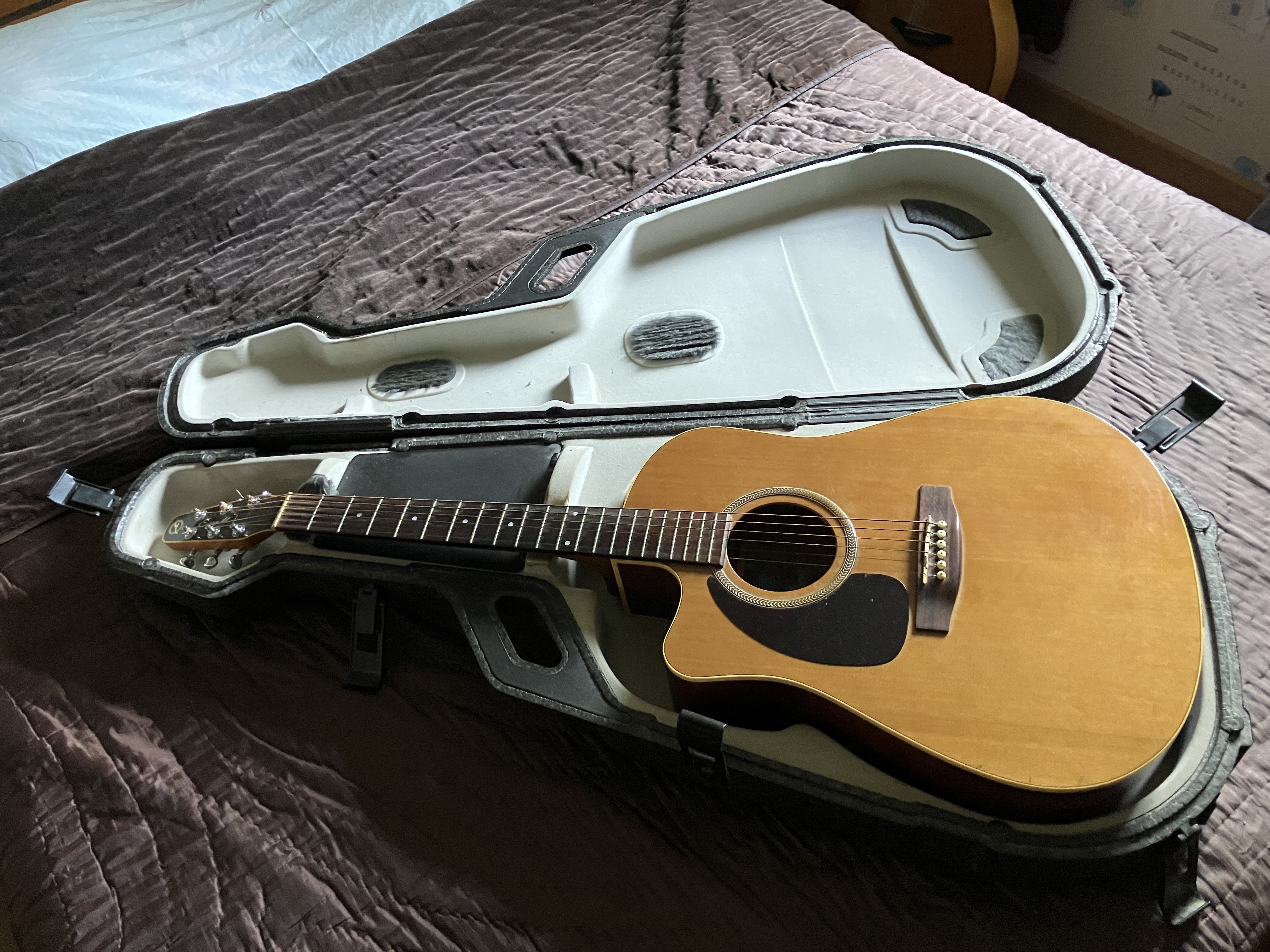 Seagull Performer CW Cedar GT QI Gaucher