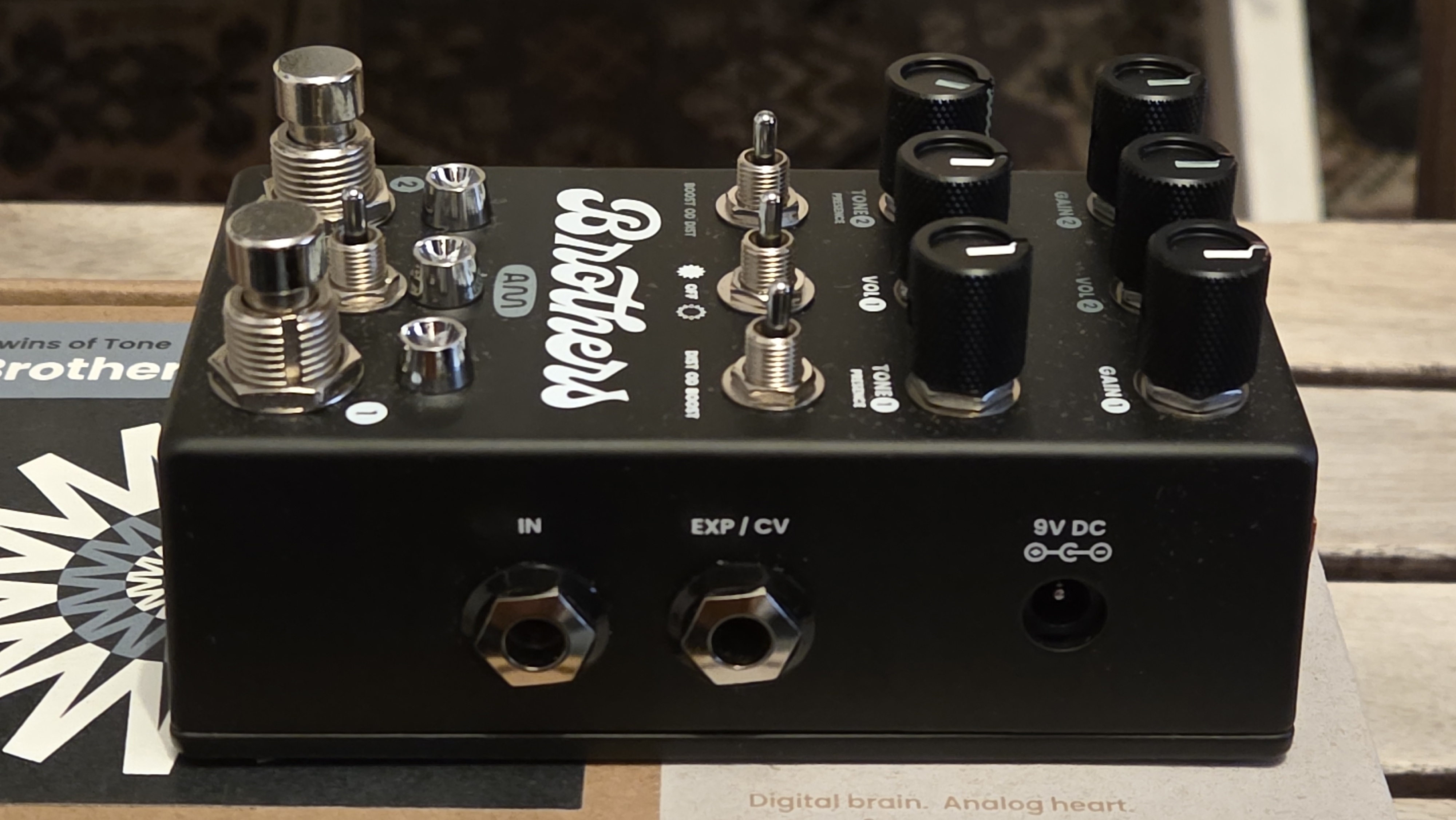 Chase Bliss Audio Brothers AM (5279)