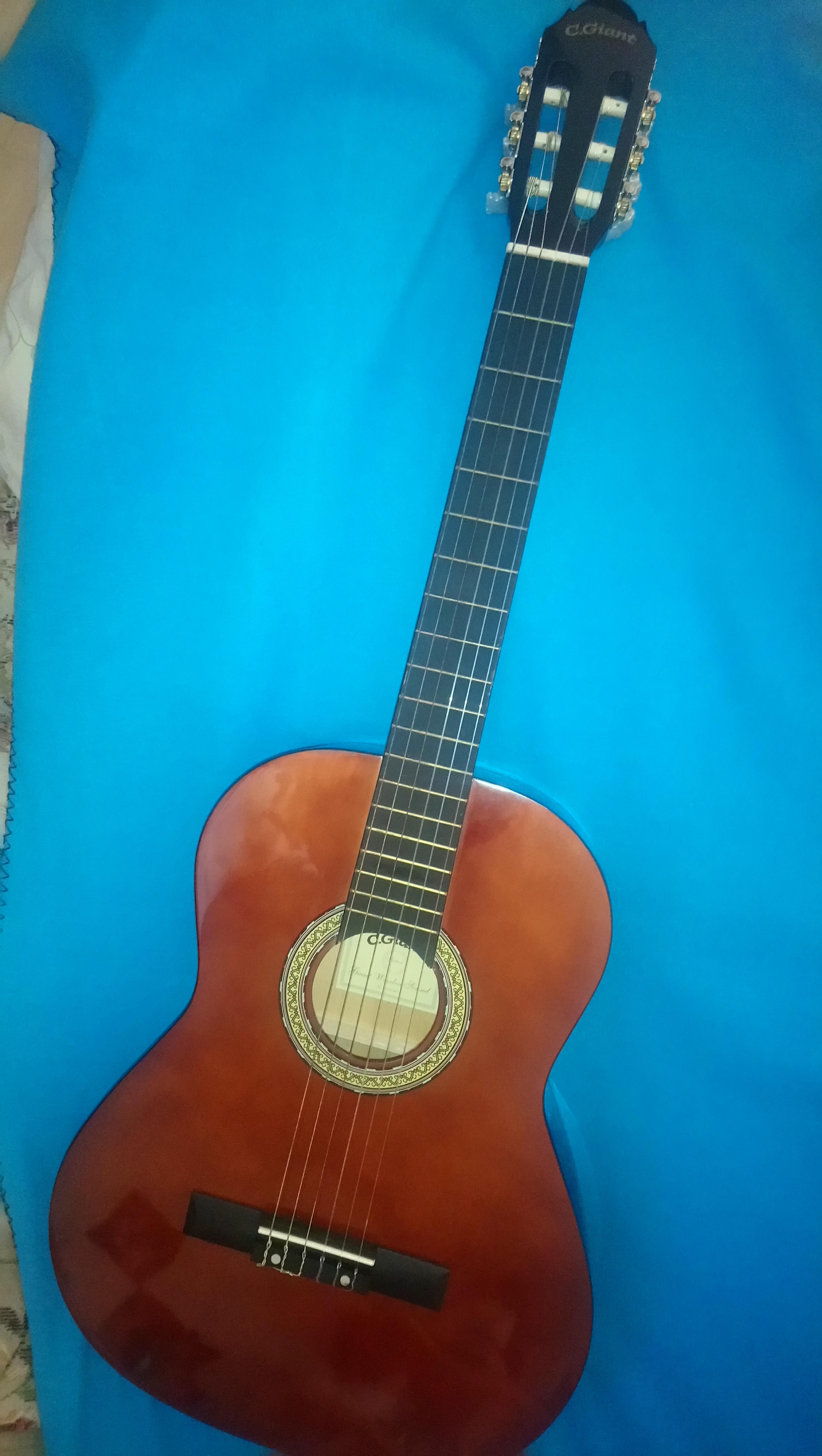 Autres guitares acoustiques No Name