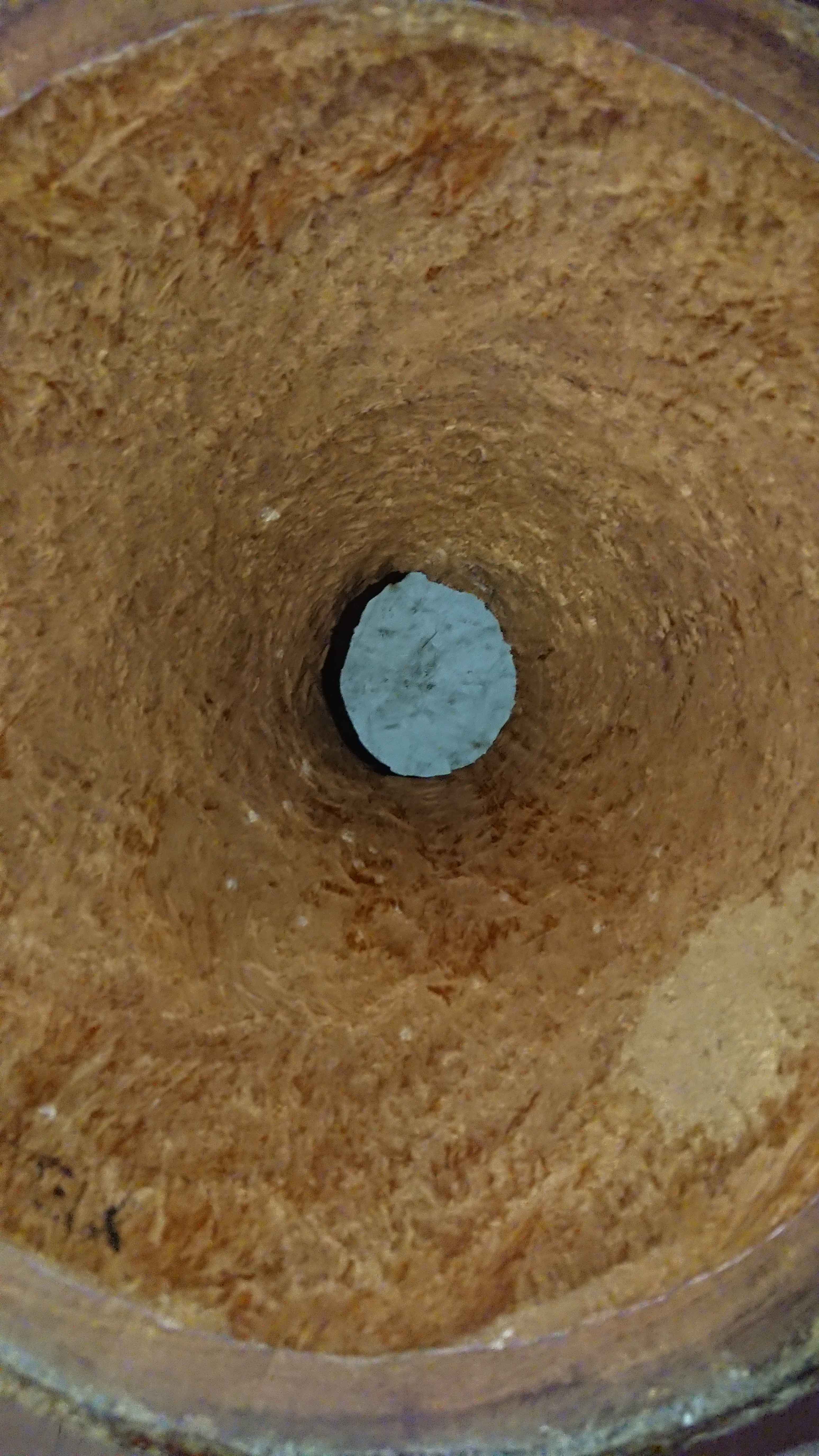DSC 3008