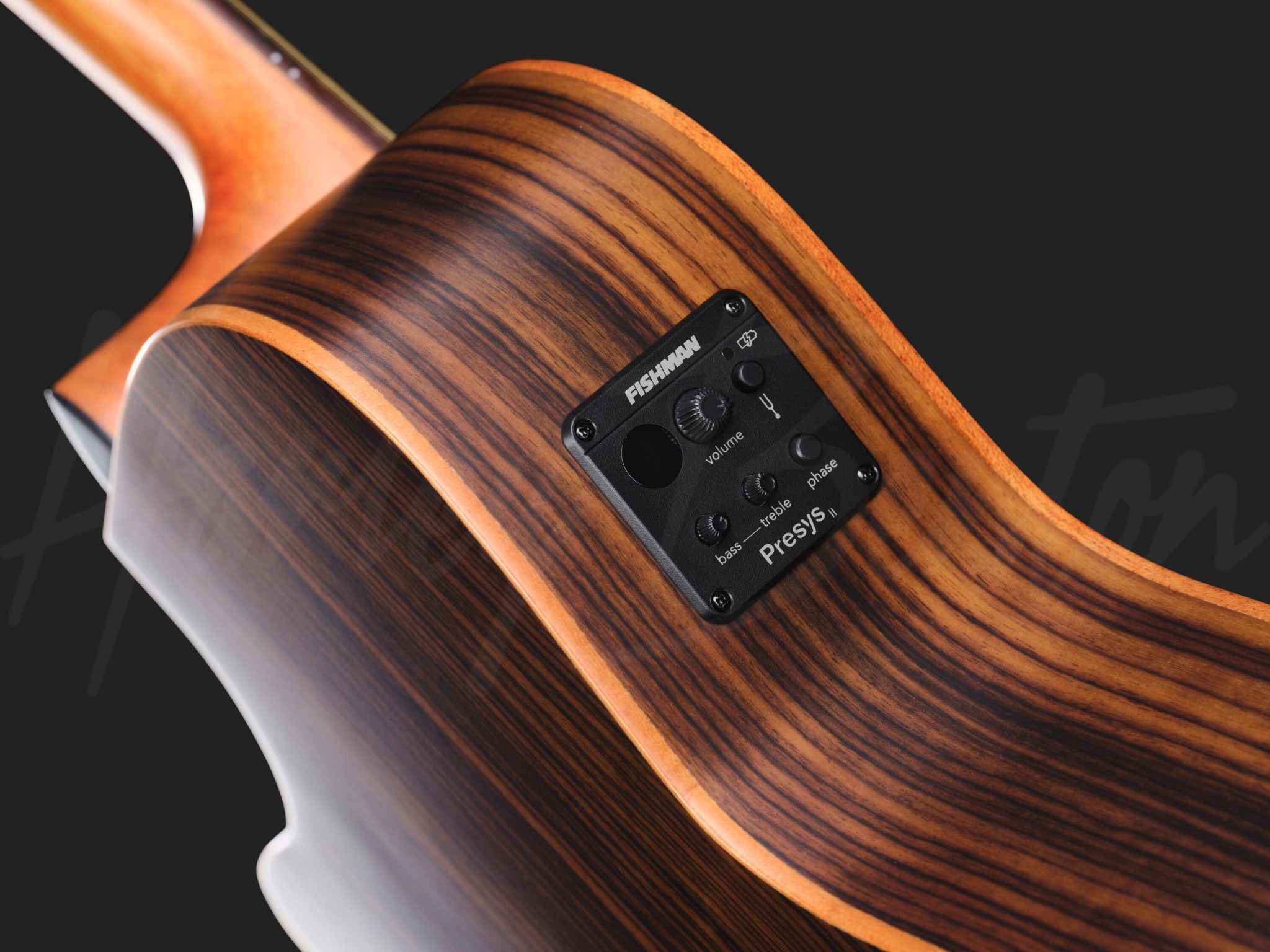 Harley Benton CLG-70SR CE 12 : CLG-70SR CE 12Electronics