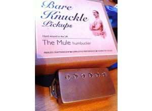 Bare Knuckle Pickups The Mule (82099)