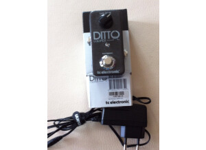 TC Electronic Ditto Looper (61019)