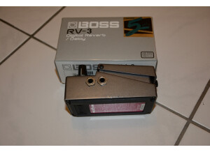 Boss RV-3 Digital Reverb/Delay (48300)