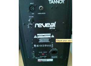 Tannoy Reveal 601A (26426)