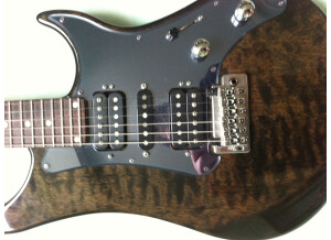 Vigier Excalibur Shawn Lane Master Signature - Clear Black Rosewood