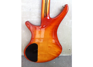 Vigier Passion III (41072)