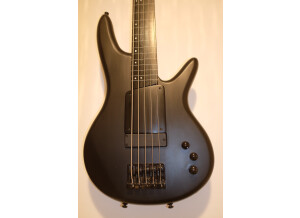 Ibanez GWB35 - Black Flat