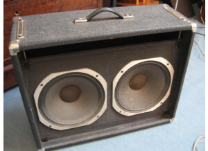 Peavey Baffle 2x 31cm (12")Classic VTX