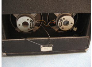 Peavey Baffle 2x 31cm (12")Classic VTX