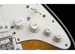 Fender VG Strat knobs
