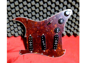 Fender Pickguard w/ pickups
