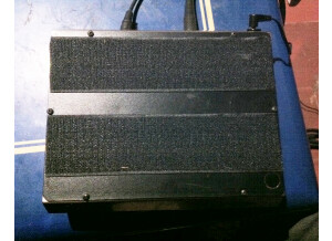 Electro-Harmonix Deluxe Memory Man