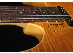 Fender Vibrolux Vintage - Brown (73314)