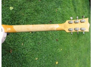 Fano Guitars SP6 (63595)