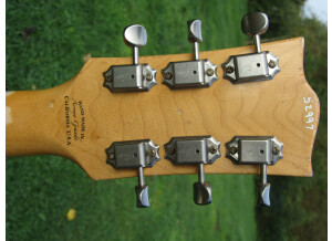 Fano Guitars SP6 (65334)