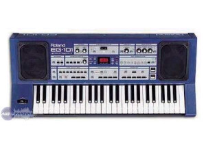 Roland EG-101 (74813)