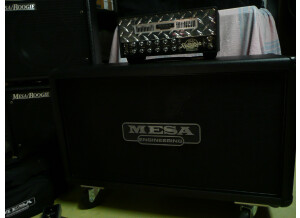 Mesa Boogie Mini Rectifier Twenty Five Head (23667)