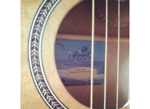 Seagull Performer CW Cedar GT Quantum