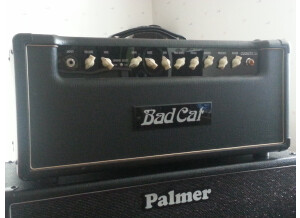 Bad Cat Cougar 50 Head (91235)