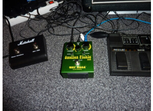 Way Huge Electronics WHE401 Swollen Pickle Fuzz (8212)