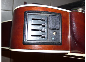 Takamine EG332C (7692)